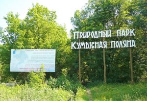 ФНС требует с саратовской Кумысной поляны под 45 млн за землю.